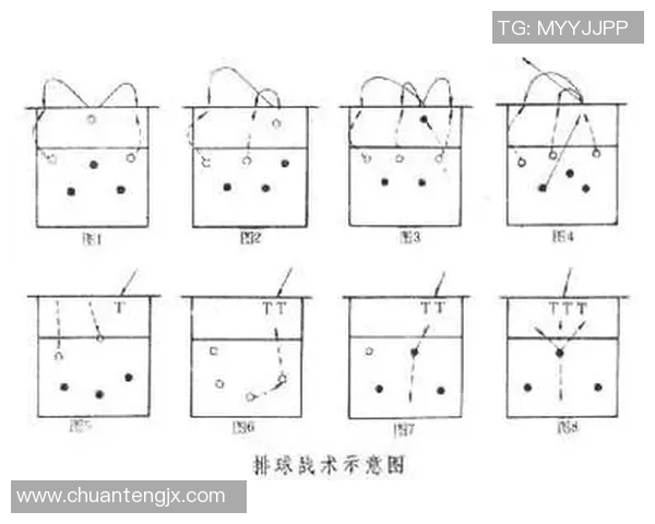 实时新闻深圳排球队中路突破战术解析与实战应用探讨